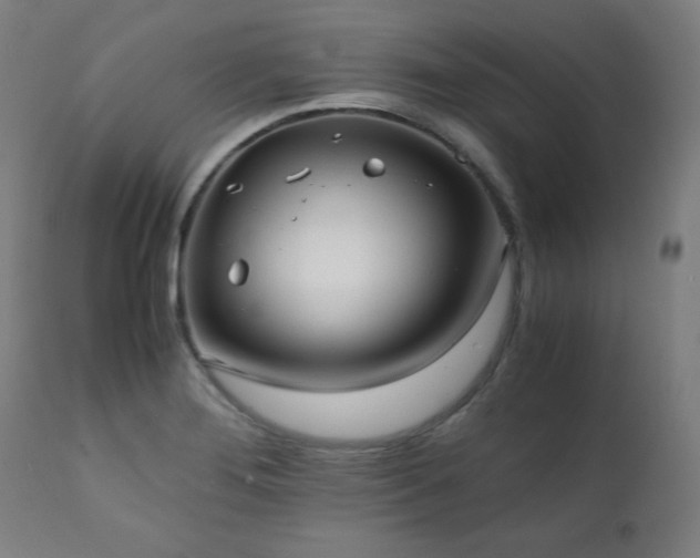 X0000112051276200908041142