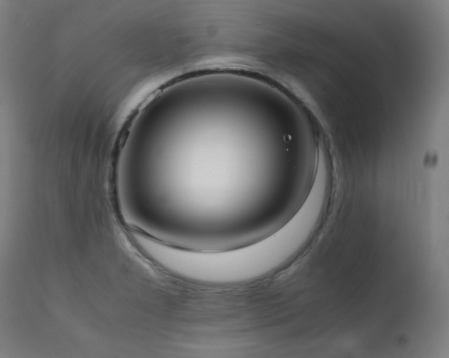X0000112051277200908041142