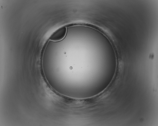 X0000112051279200908041142