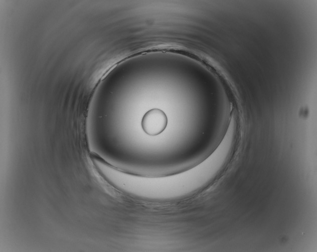 X0000112051281200908041142