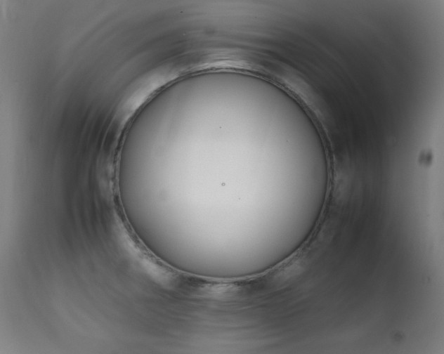 X0000112051282200908041142