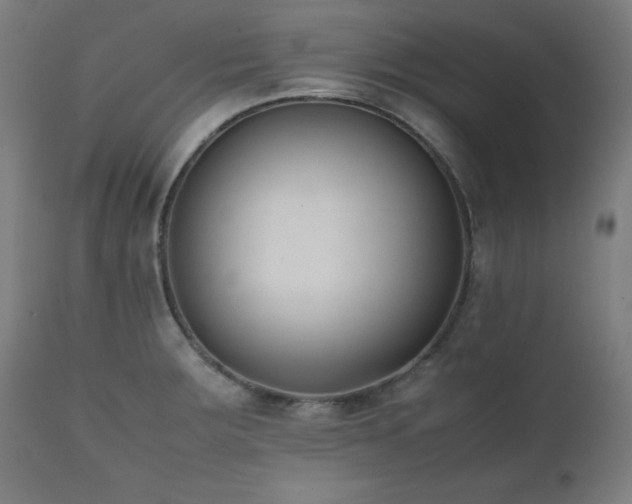 X0000112051283200908041142