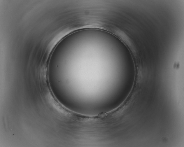 X0000112051284200908041142