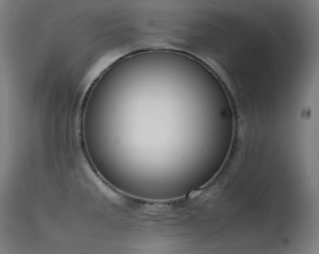 X0000112051285200908041142
