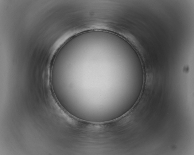X0000112051286200908041142