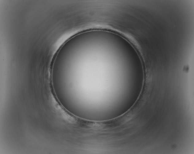 X0000112051287200908041142