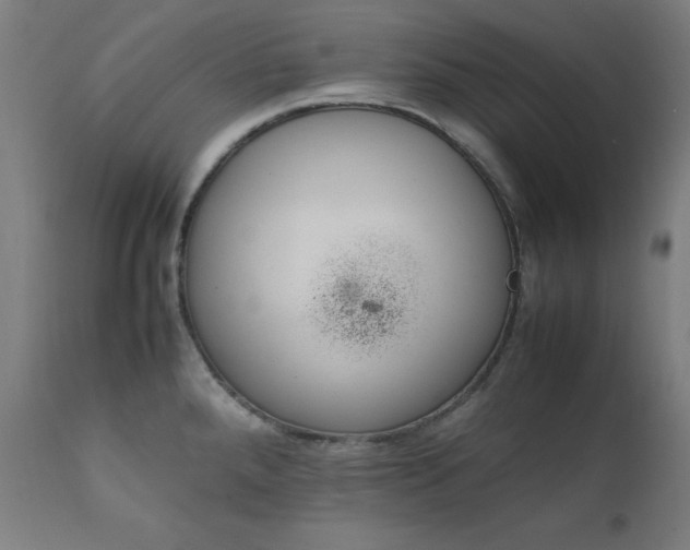 X0000112051288200908041142