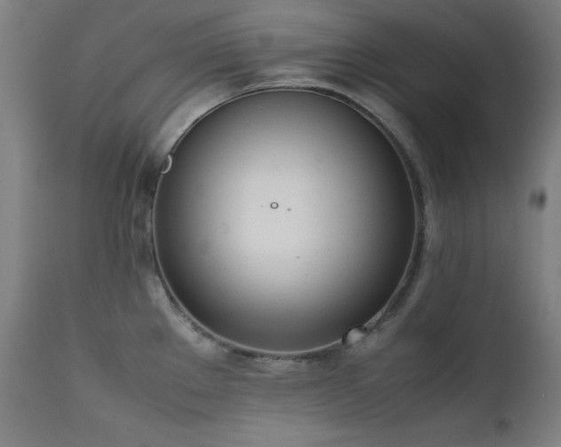 X0000112051289200908041142