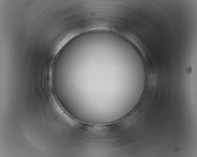 X0000112051290200908041142