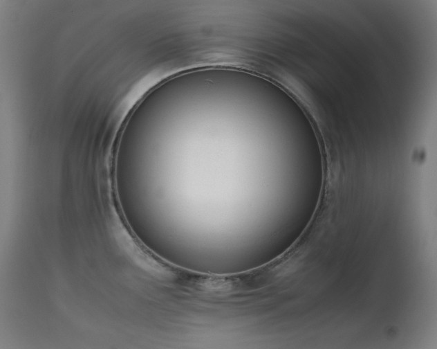 X0000112051291200908041142