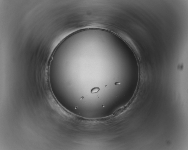 X0000112051292200908041142