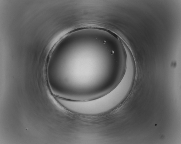 X0000112051293200908041142
