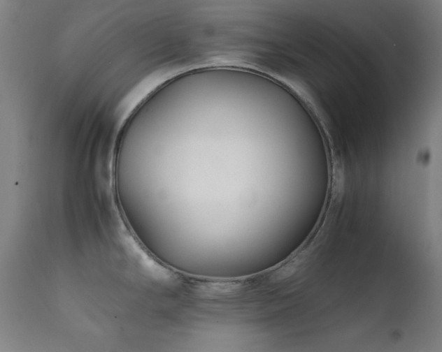 X0000112051294200908041142