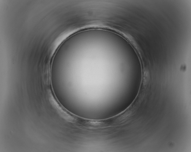 X0000112051295200908041142