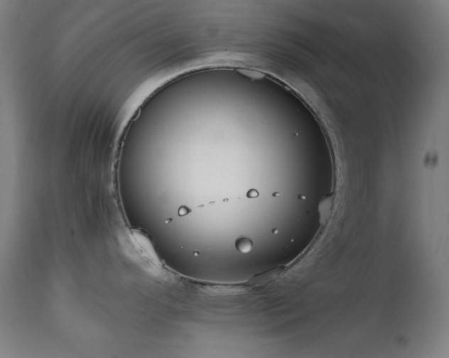 X0000112051296200908041142
