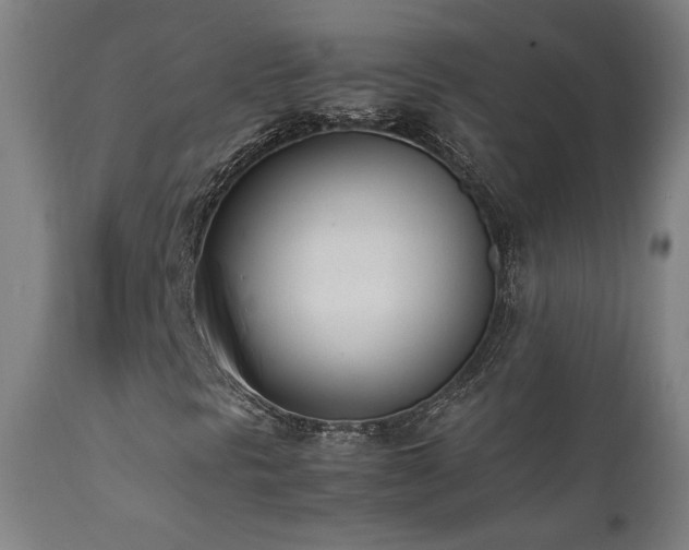 X0000112051297200908041141