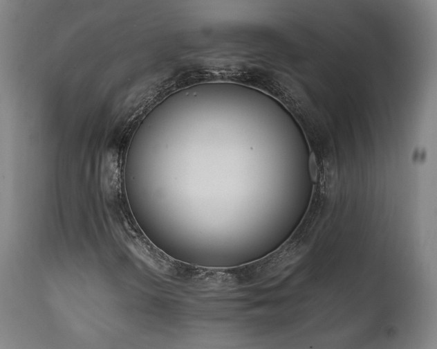 X0000112051298200908041141