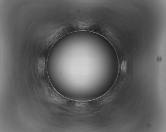 X0000112051299200908041141