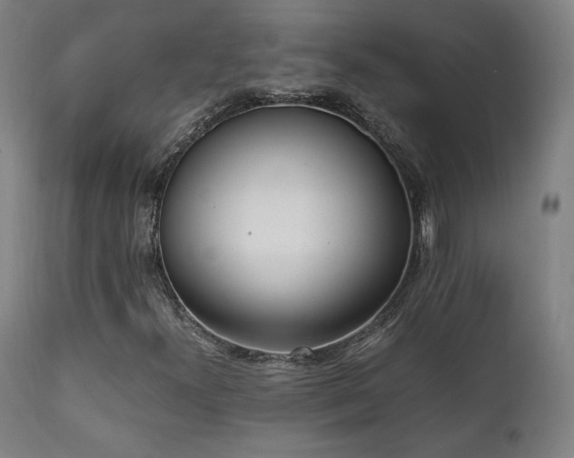 X0000112051300200908041141
