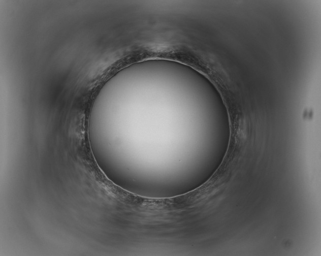 X0000112051301200908041141