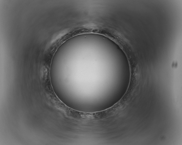 X0000112051302200908041141