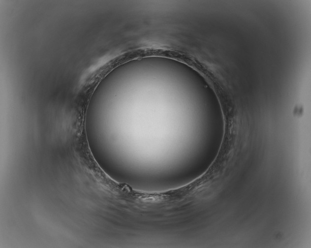 X0000112051303200908041141