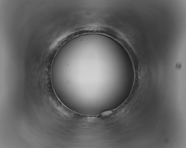 X0000112051304200908041141