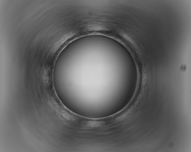 X0000112051305200908041141