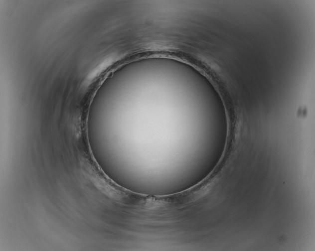 X0000112051306200908041141