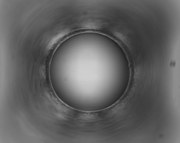 X0000112051307200908041141