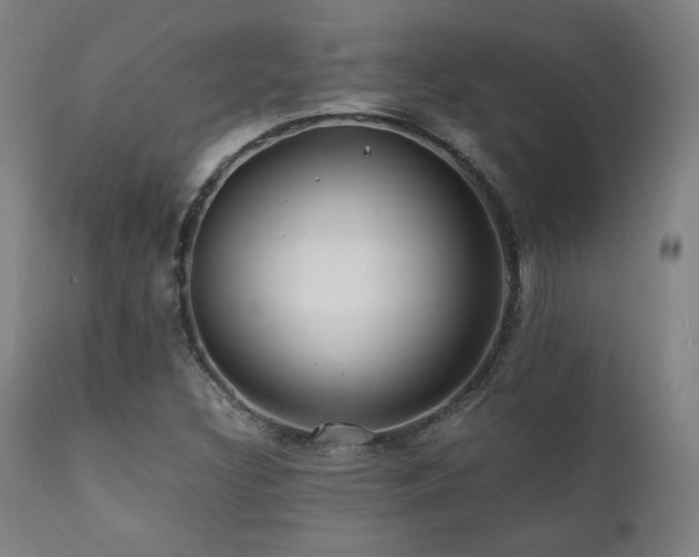 X0000112051308200908041141