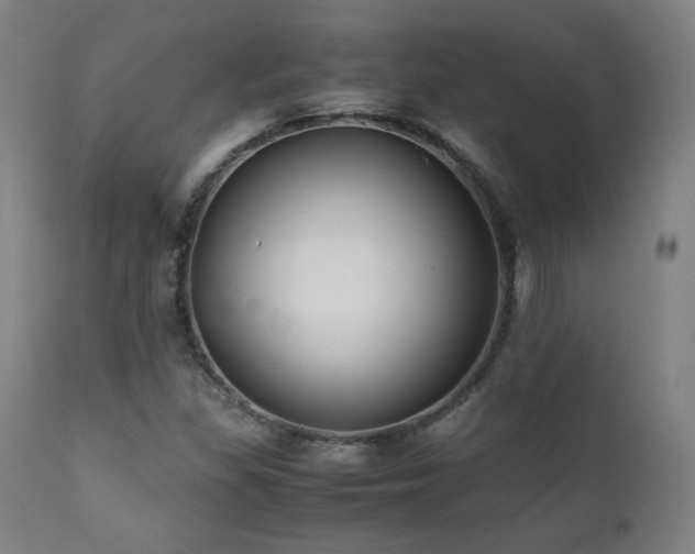 X0000112051309200908041141