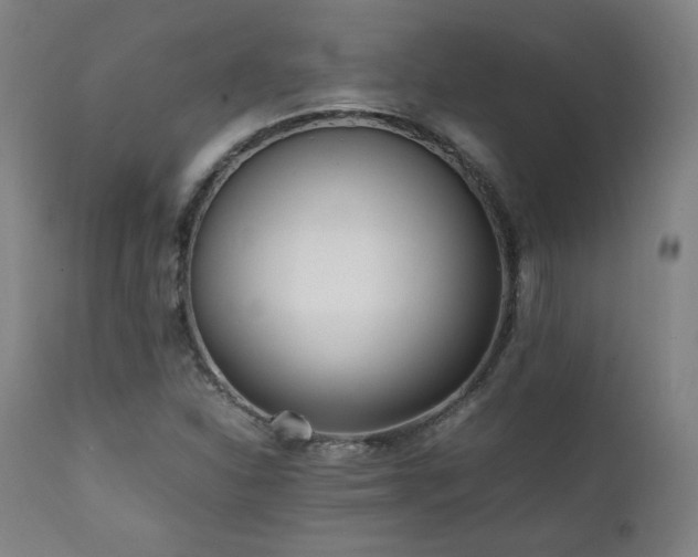 X0000112051310200908041141