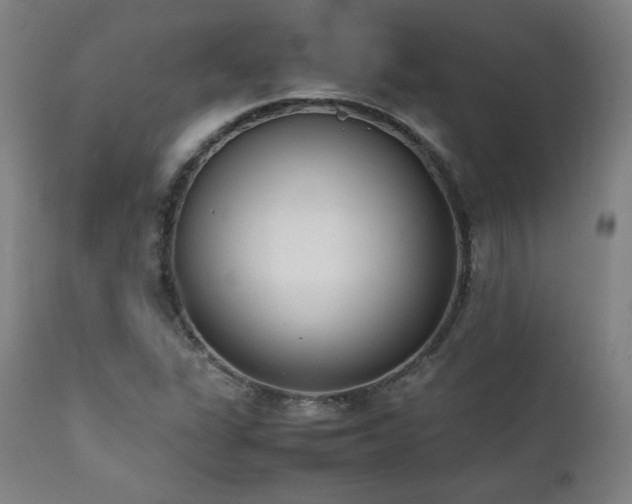 X0000112051311200908041141