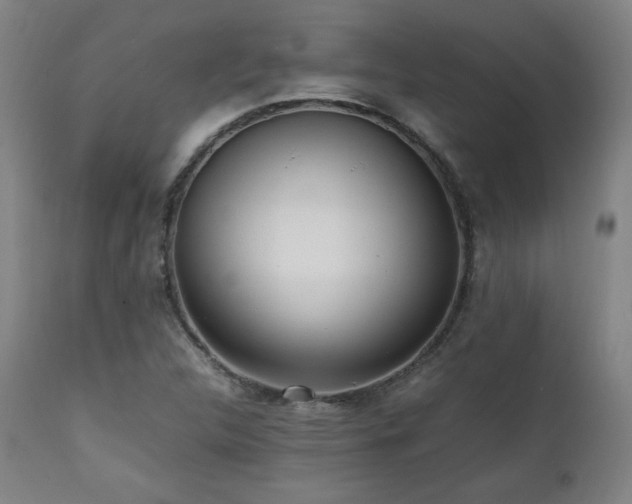 X0000112051312200908041141