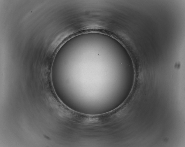 X0000112051313200908041141