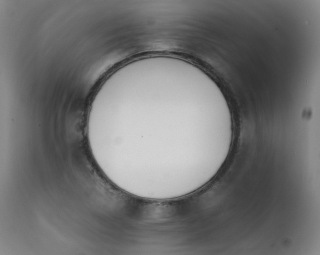 X0000112051314200908041141