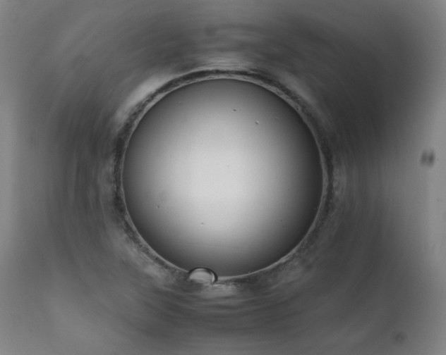X0000112051315200908041141