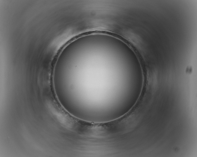 X0000112051316200908041141