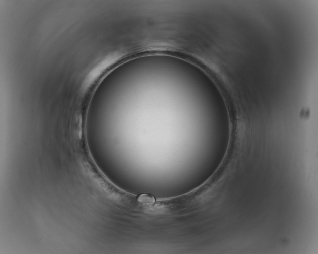 X0000112051317200908041141