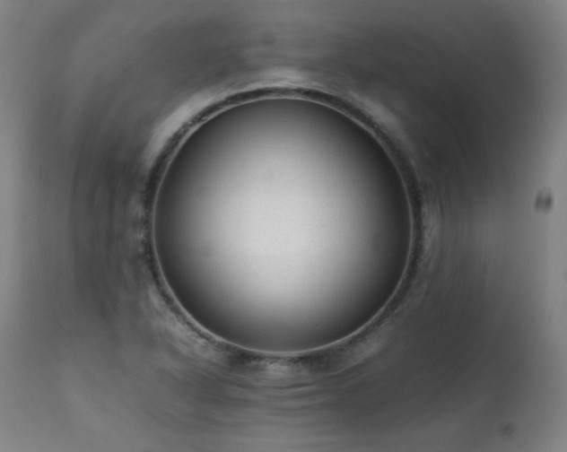 X0000112051318200908041141