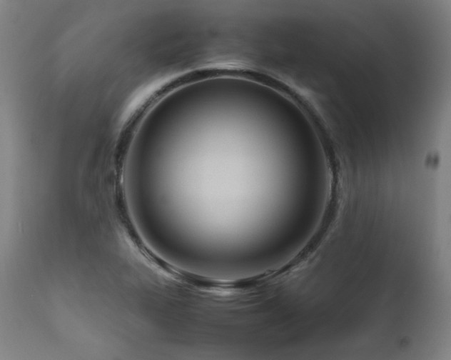 X0000112051319200908041141
