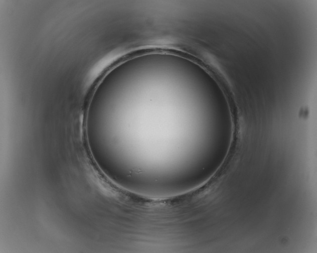 X0000112051320200908041141