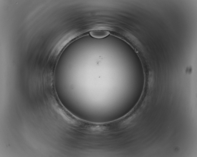 X0000112051321200908041141