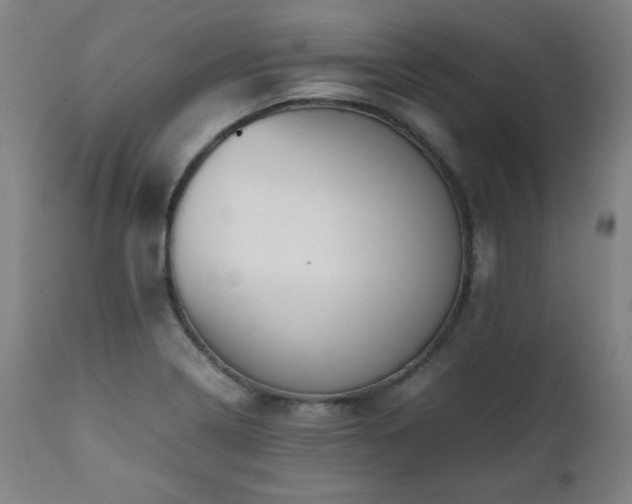 X0000112051322200908041141