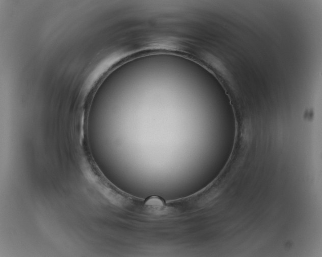 X0000112051323200908041141