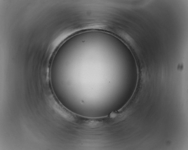 X0000112051324200908041141