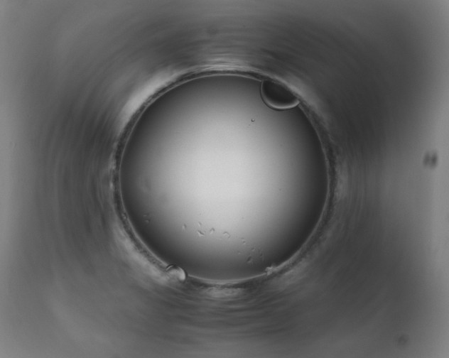 X0000112051325200908041141