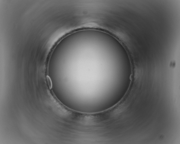 X0000112051326200908041141