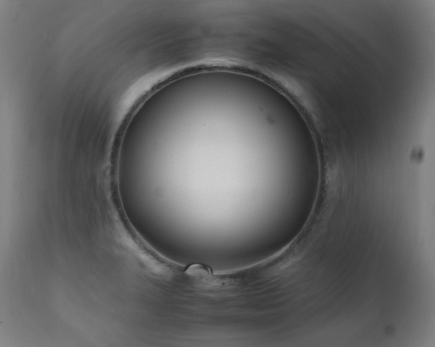 X0000112051327200908041141